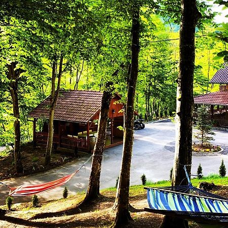 Hotel Pensiunea Valea Gepisului Grosi  Exterior foto