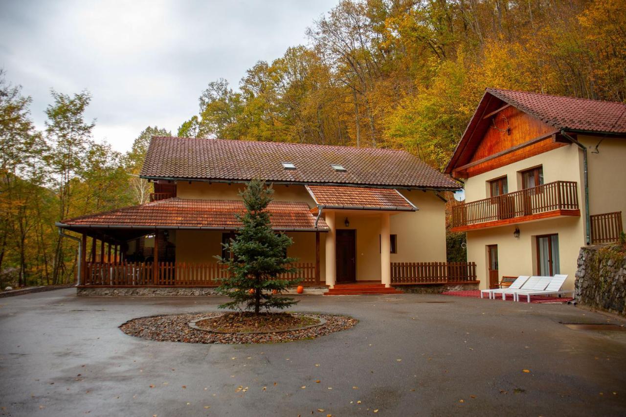 Hotel Pensiunea Valea Gepisului Grosi  Exterior foto