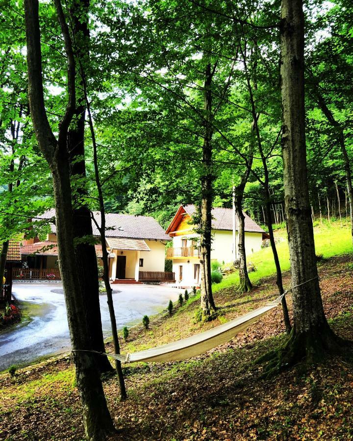 Hotel Pensiunea Valea Gepisului Grosi  Exterior foto